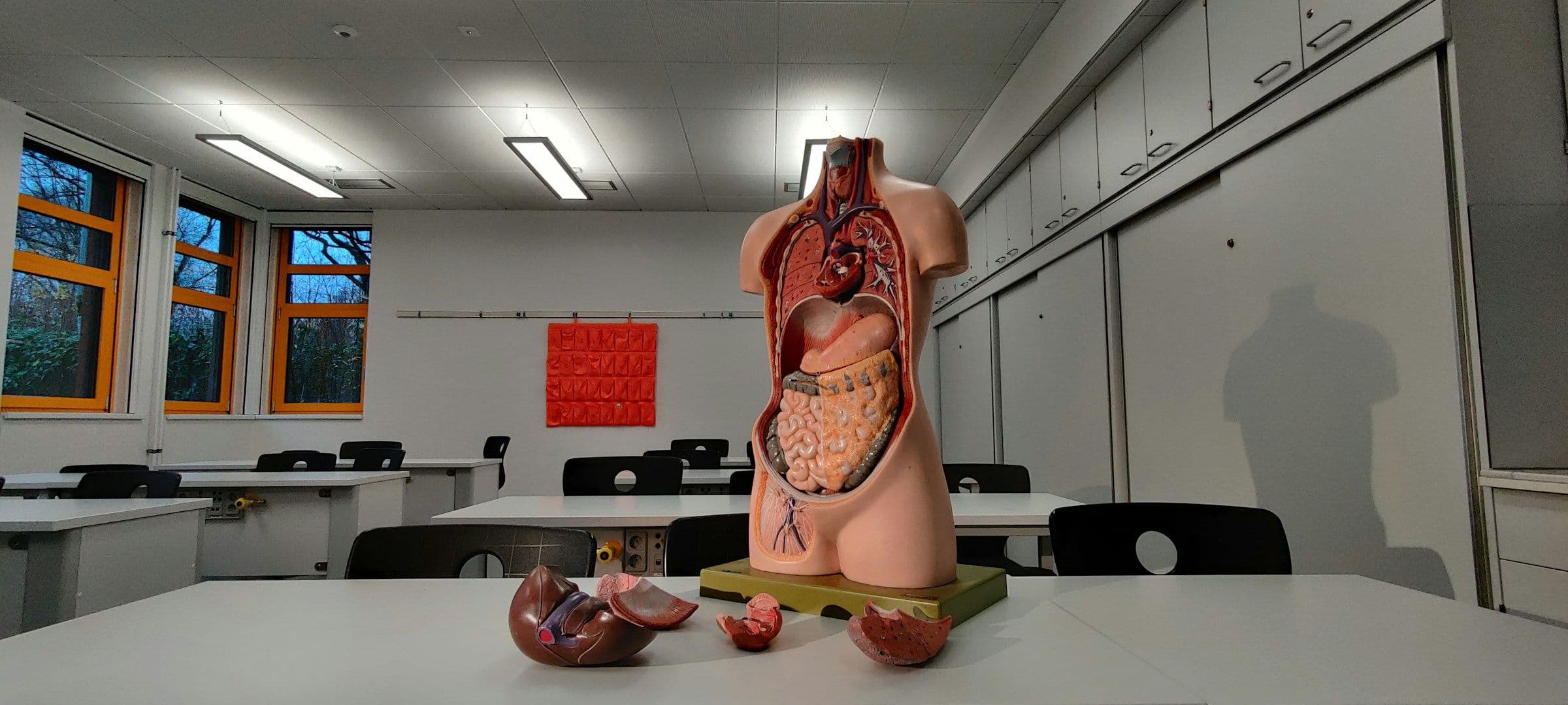 Biology Lab - How To Study For Biology In College