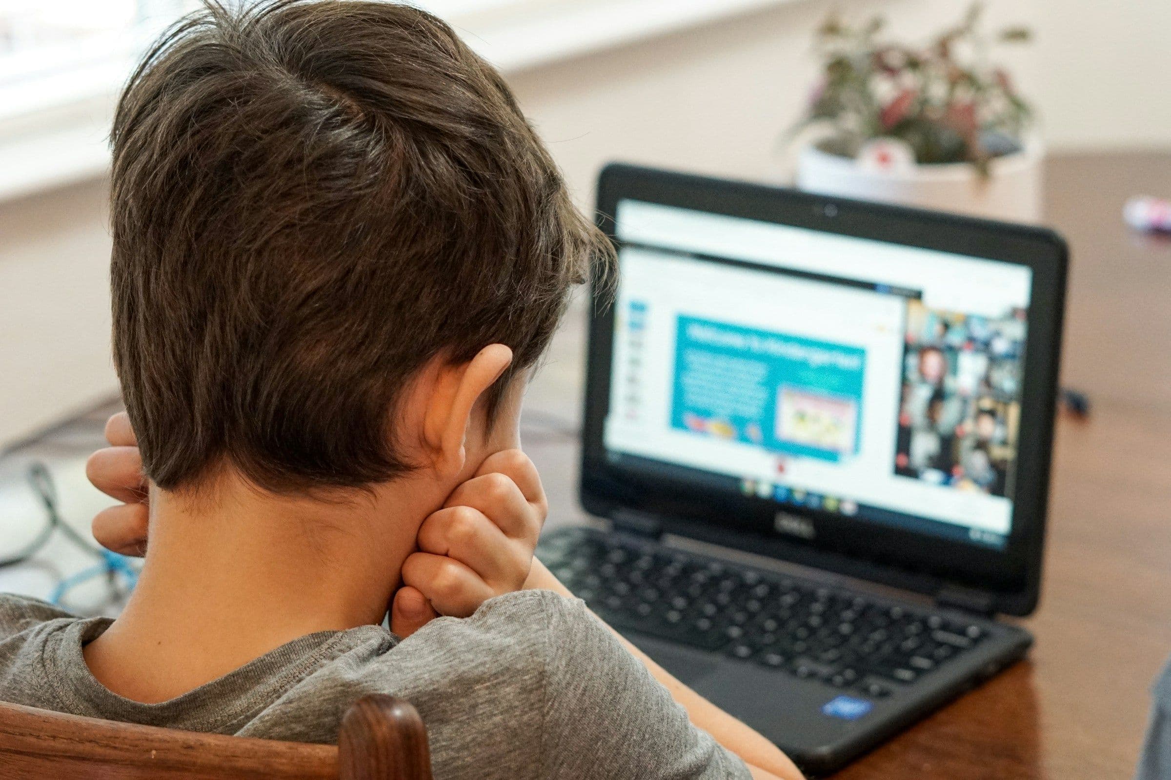 Kid Trying to Learn - Interactive Tools for Online Learning