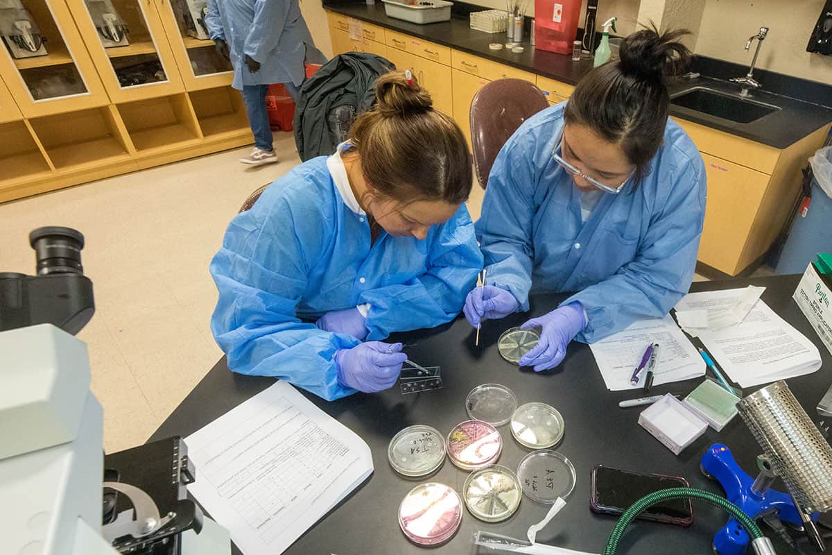 person with friend - How To Study for Biology