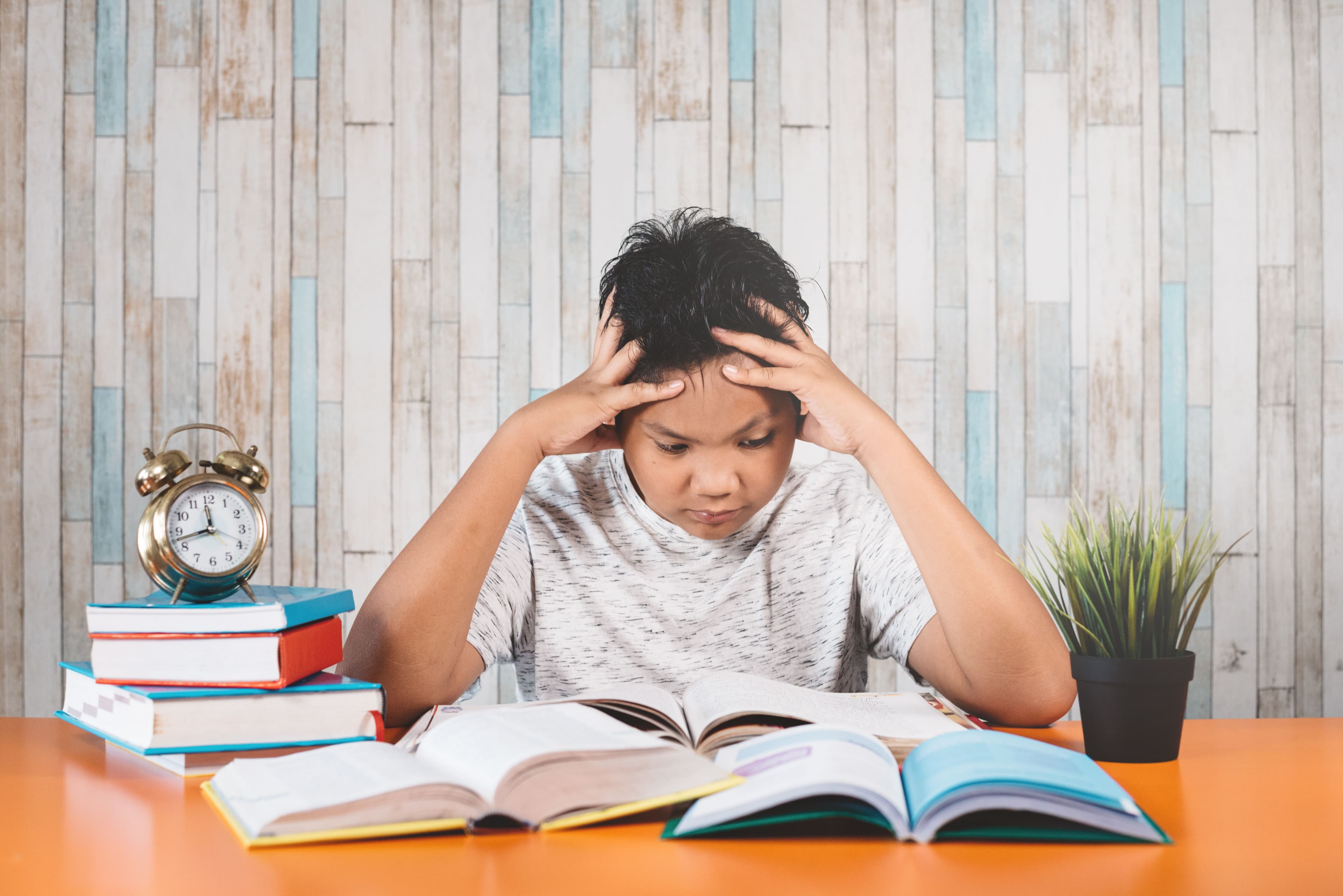 What Makes Studying French Unique